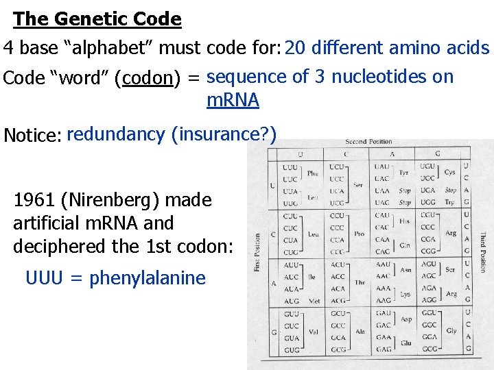 The Genetic Code 4 base “alphabet” must code for: 20 different amino acids Code