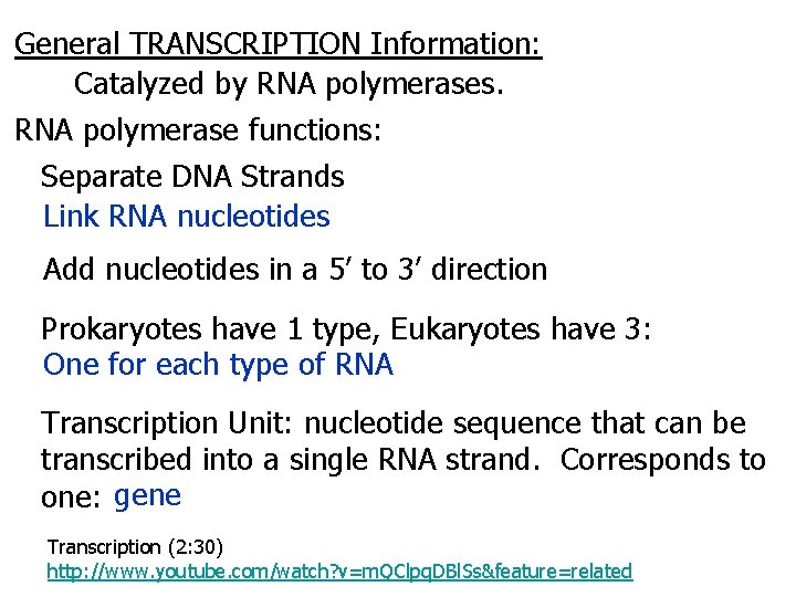 General TRANSCRIPTION Information: Catalyzed by RNA polymerases. RNA polymerase functions: Separate DNA Strands Link
