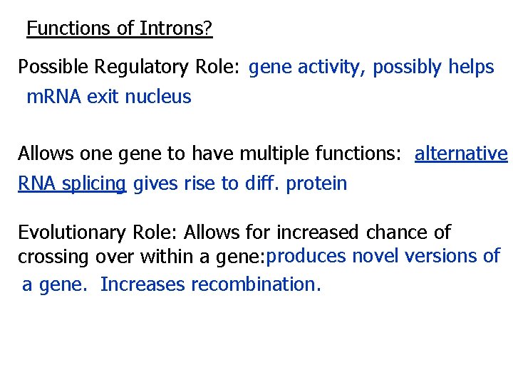 Functions of Introns? Possible Regulatory Role: gene activity, possibly helps m. RNA exit nucleus