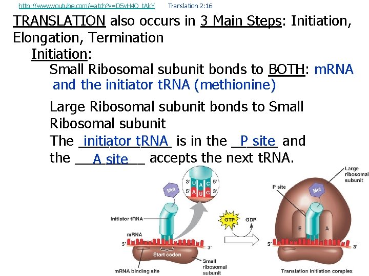 http: //www. youtube. com/watch? v=D 5 v. H 4 Q_t. Ak. Y Translation 2: