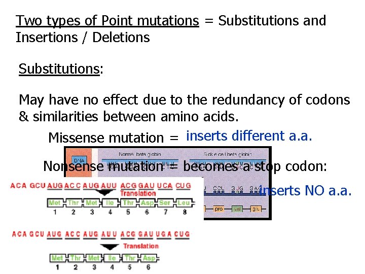 Two types of Point mutations = Substitutions and Insertions / Deletions Substitutions: May have