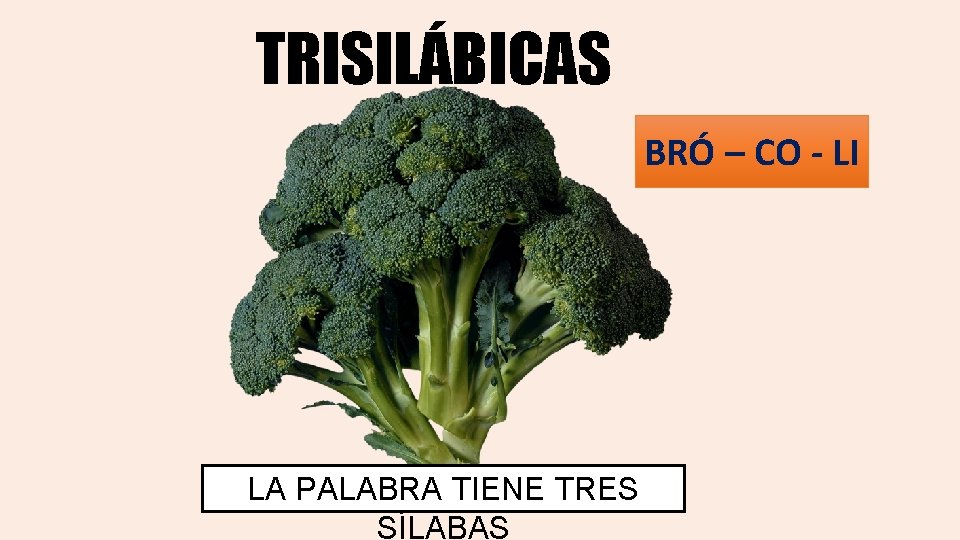 TRISILÁBICAS BRÓ – CO - LI LA PALABRA TIENE TRES SÍLABAS 