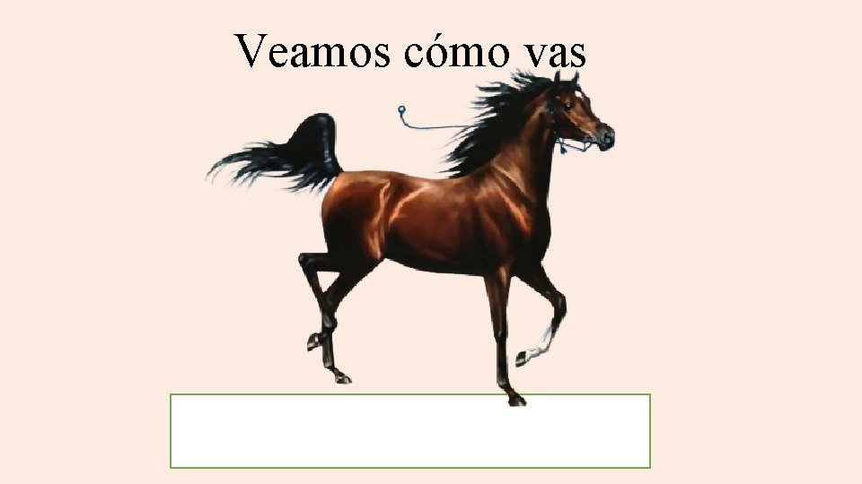Veamos cómo vas 