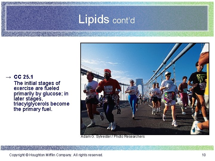 Lipids cont’d → CC 25. 1 The initial stages of exercise are fueled primarily