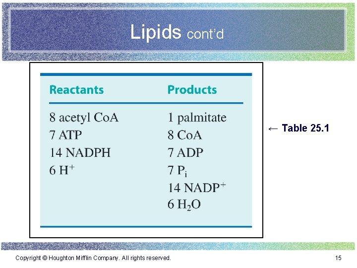 Lipids cont’d ← Table 25. 1 Copyright © Houghton Mifflin Company. All rights reserved.