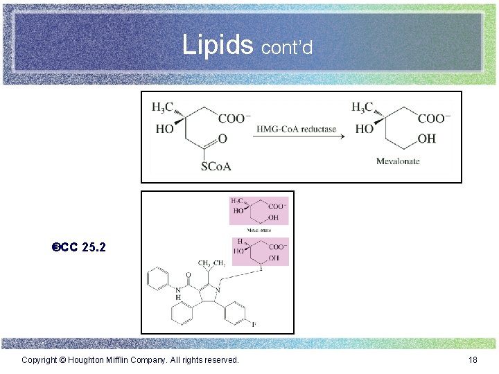 Lipids cont’d CC 25. 2 Copyright © Houghton Mifflin Company. All rights reserved. 18