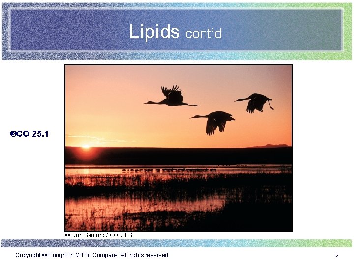 Lipids cont’d CO 25. 1 © Ron Sanford / CORBIS Copyright © Houghton Mifflin