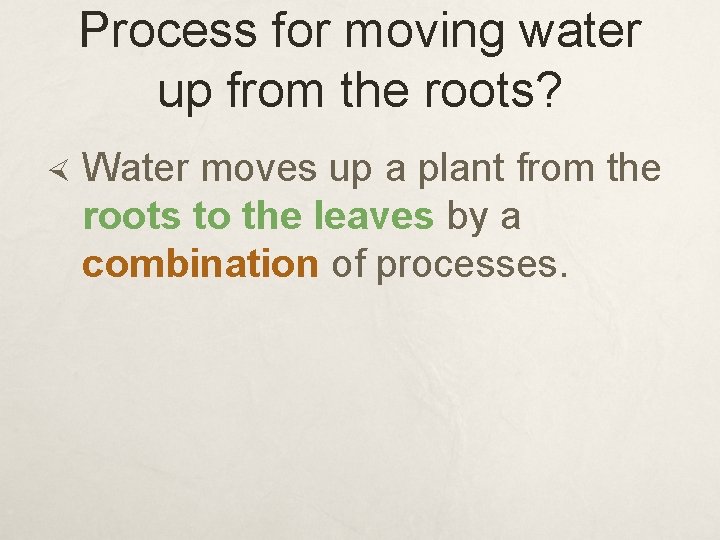 Process for moving water up from the roots? Water moves up a plant from