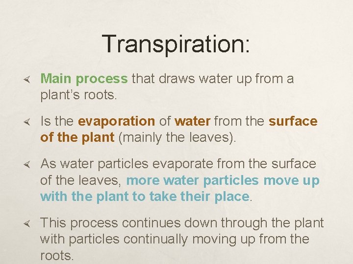 Transpiration: Main process that draws water up from a plant’s roots. Is the evaporation