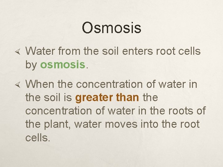 Osmosis Water from the soil enters root cells by osmosis. When the concentration of