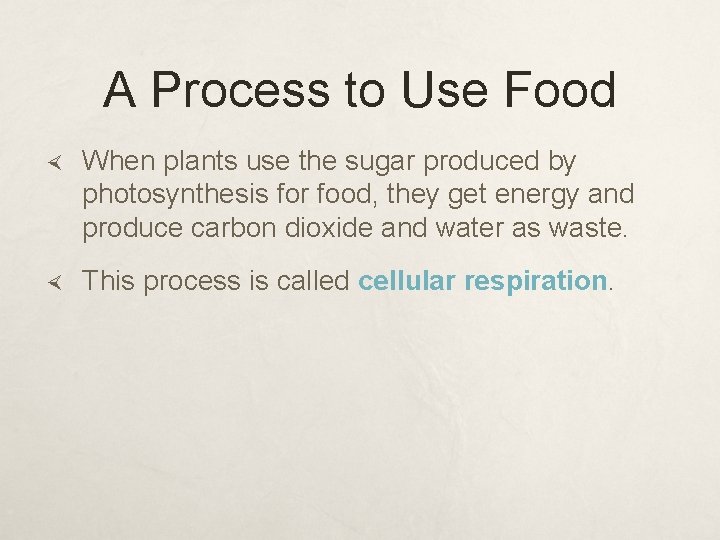 A Process to Use Food When plants use the sugar produced by photosynthesis for