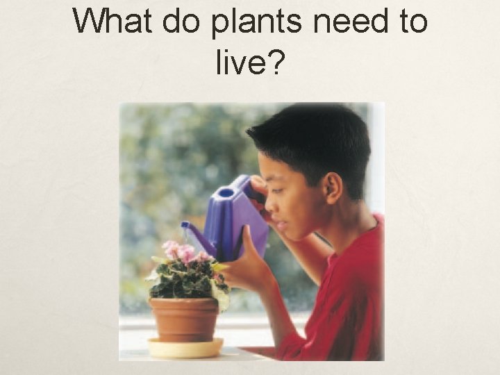 What do plants need to live? 