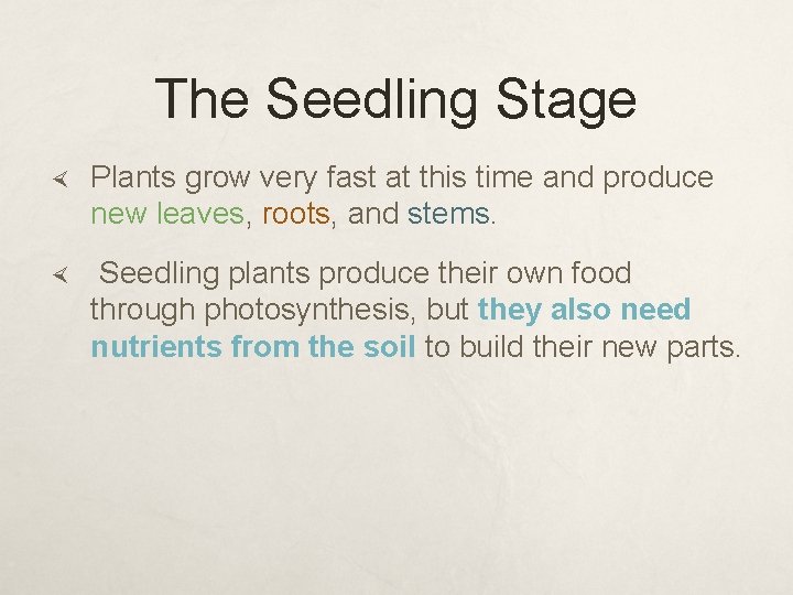 The Seedling Stage Plants grow very fast at this time and produce new leaves,