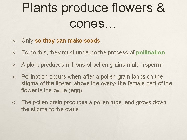 Plants produce flowers & cones… Only so they can make seeds. To do this,