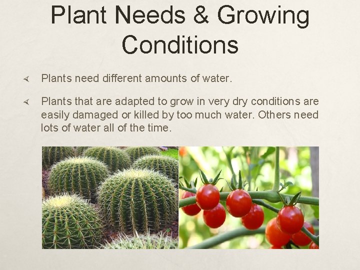 Plant Needs & Growing Conditions Plants need different amounts of water. Plants that are