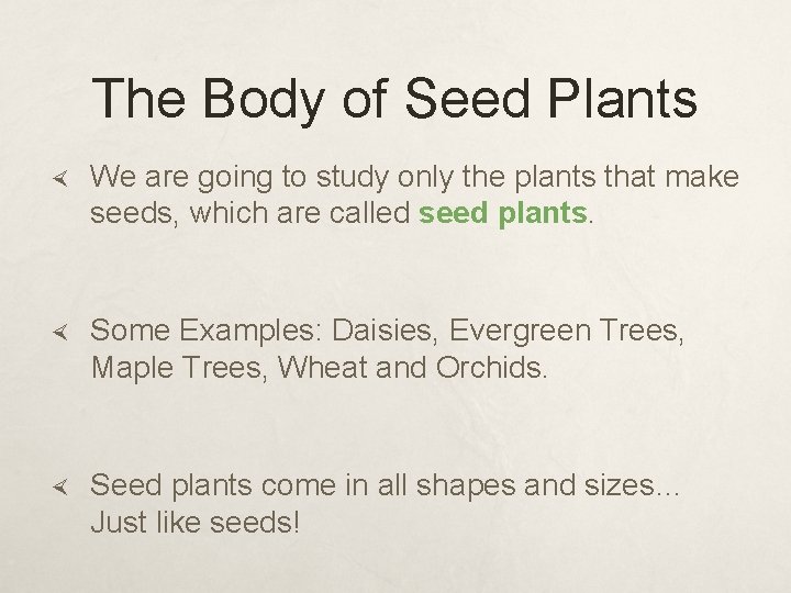 The Body of Seed Plants We are going to study only the plants that