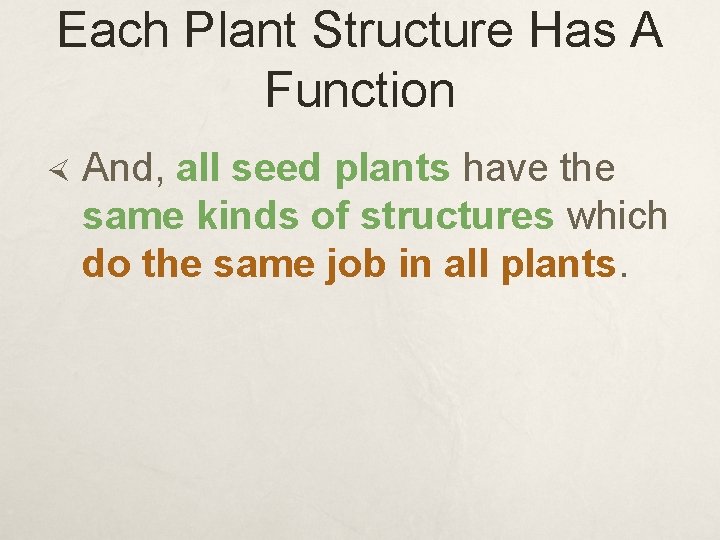 Each Plant Structure Has A Function And, all seed plants have the same kinds