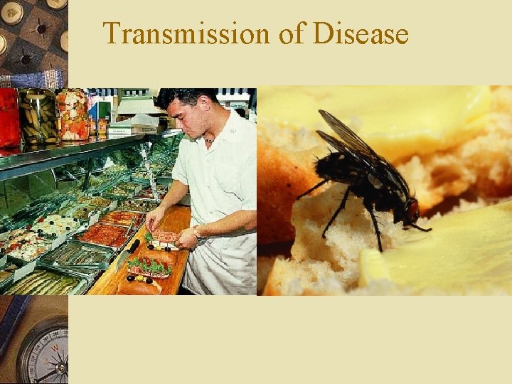 Transmission of Disease 