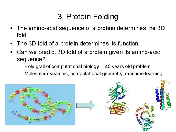 3. Protein Folding • The amino-acid sequence of a protein determines the 3 D