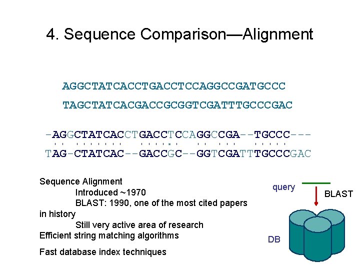 4. Sequence Comparison—Alignment AGGCTATCACCTGACCTCCAGGCCGATGCCC TAGCTATCACGACCGCGGTCGATTTGCCCGAC -AGGCTATCACCTGACCTCCAGGCCGA--TGCCC--| | | | x | | | TAG-CTATCAC--GACCGC--GGTCGATTTGCCCGAC