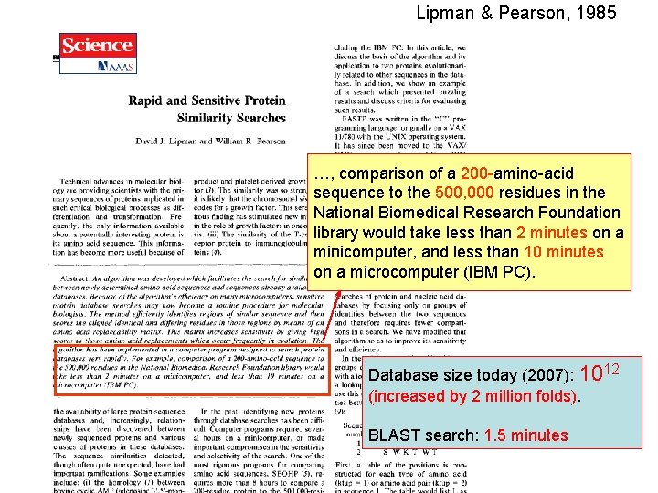 Lipman & Pearson, 1985 …, comparison of a 200 -amino-acid sequence to the 500,