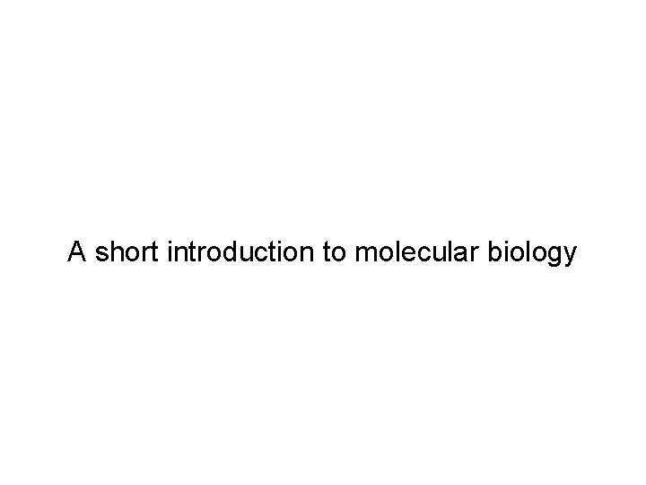 A short introduction to molecular biology 