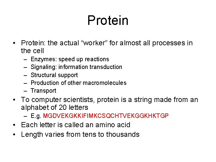 Protein • Protein: the actual “worker” for almost all processes in the cell –