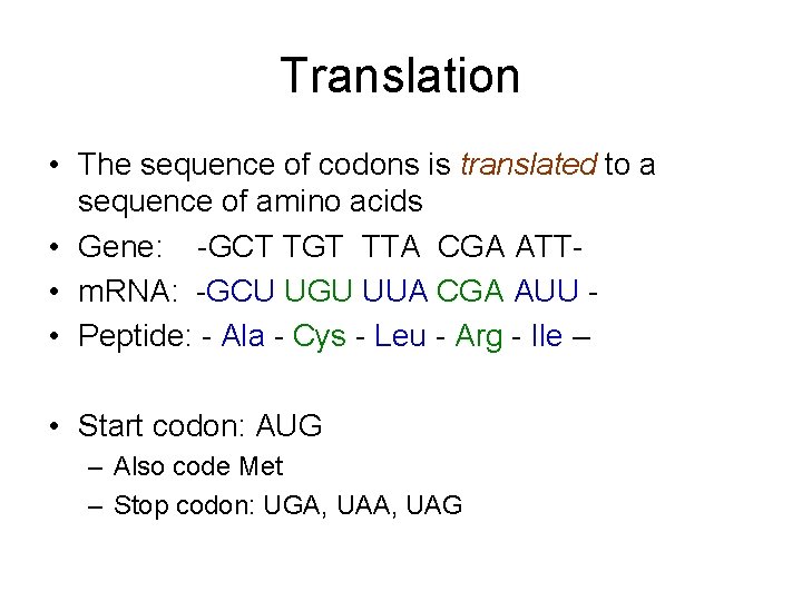 Translation • The sequence of codons is translated to a sequence of amino acids