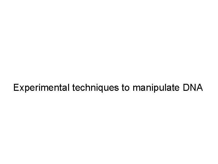 Experimental techniques to manipulate DNA 