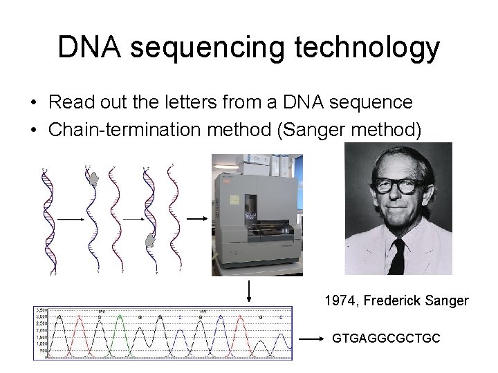 DNA sequencing technology • Read out the letters from a DNA sequence • Chain-termination