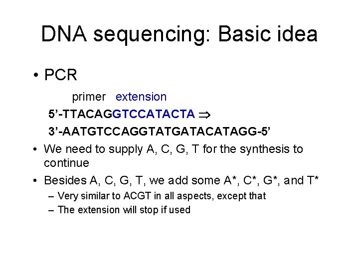 DNA sequencing: Basic idea • PCR primer extension 5’-TTACAGGTCCATACTA 3’-AATGTCCAGGTATGATACATAGG-5’ • We need to