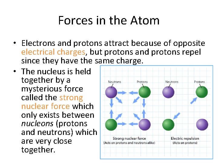 Forces in the Atom • Electrons and protons attract because of opposite electrical charges,