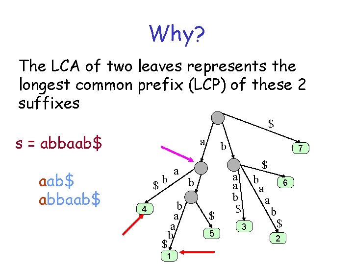 Why? The LCA of two leaves represents the longest common prefix (LCP) of these