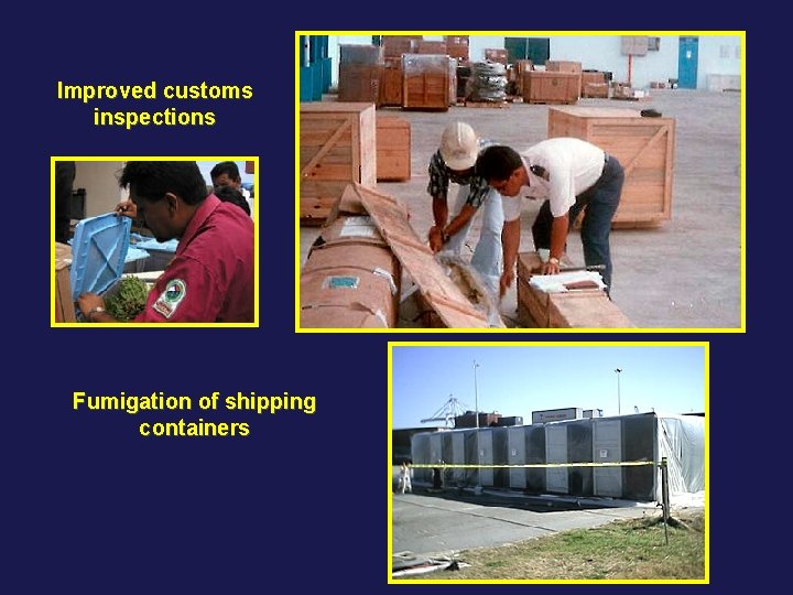 Improved customs inspections Fumigation of shipping containers 