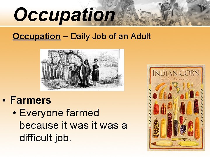 Occupation – Daily Job of an Adult • Farmers • Everyone farmed because it
