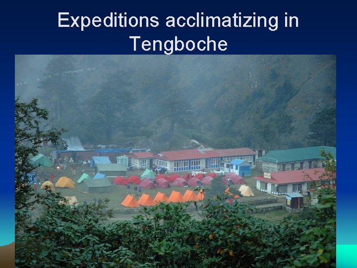 Expeditions acclimatizing in Tengboche 