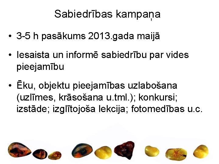 Sabiedrības kampaņa • 3 -5 h pasākums 2013. gada maijā • Iesaista un informē