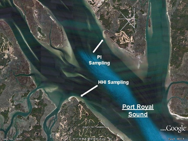 PI Sampling HHI Sampling Port Royal Sound 
