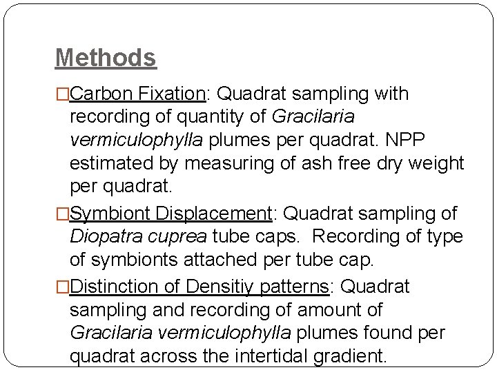 Methods �Carbon Fixation: Quadrat sampling with recording of quantity of Gracilaria vermiculophylla plumes per