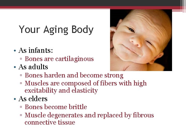 Your Aging Body • As infants: ▫ Bones are cartilaginous • As adults ▫