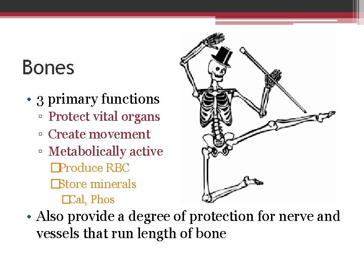 Bones • 3 primary functions ▫ Protect vital organs ▫ Create movement ▫ Metabolically