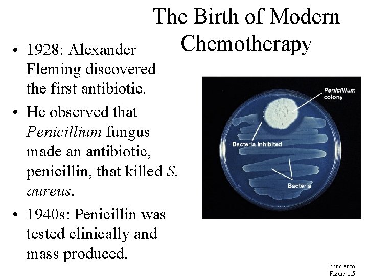 The Birth of Modern Chemotherapy • 1928: Alexander Fleming discovered the first antibiotic. •