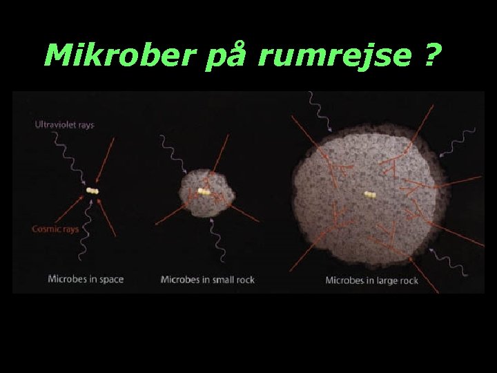 Mikrober på rumrejse ? 