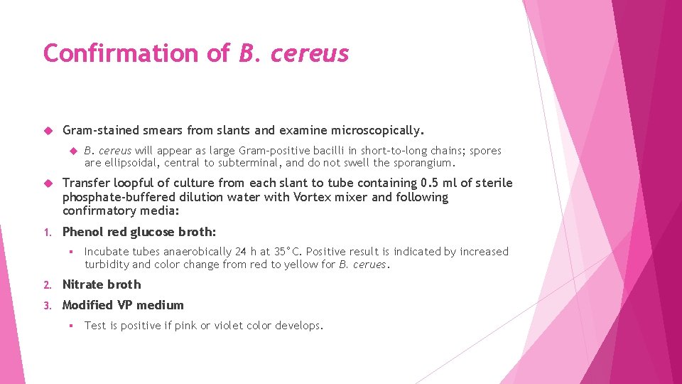 Confirmation of B. cereus Gram‐stained smears from slants and examine microscopically. B. cereus will