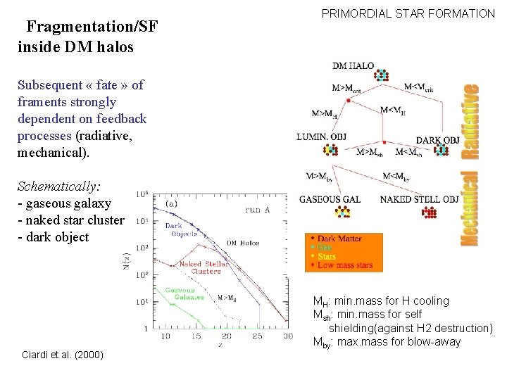 Fragmentation/SF inside DM halos PRIMORDIAL STAR FORMATION Subsequent « fate » of framents strongly