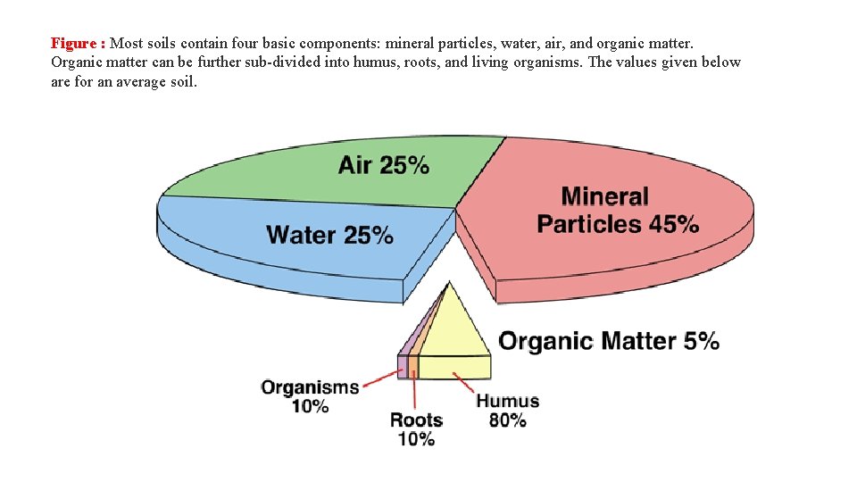 Figure : Most soils contain four basic components: mineral particles, water, air, and organic