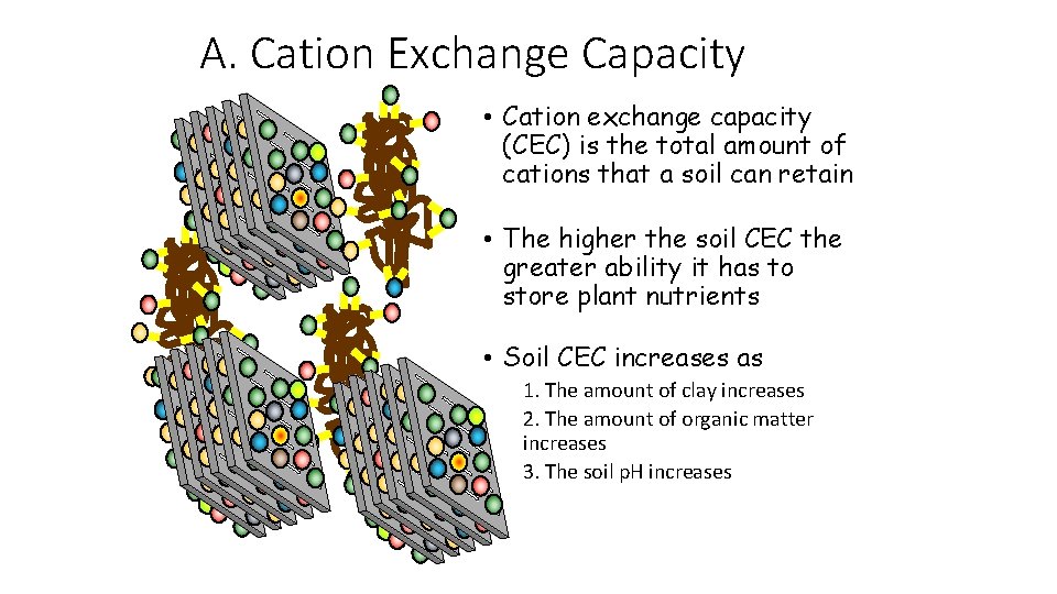 A. Cation Exchange Capacity • Cation exchange capacity (CEC) is the total amount of