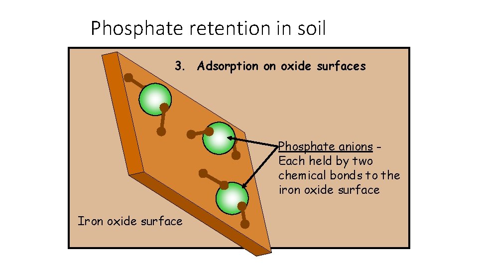 Phosphate retention in soil 3. Adsorption on oxide surfaces Phosphate anions Each held by