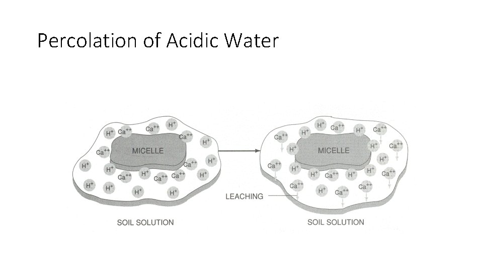 Percolation of Acidic Water 