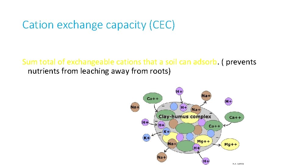 Cation exchange capacity (CEC) Sum total of exchangeable cations that a soil can adsorb.
